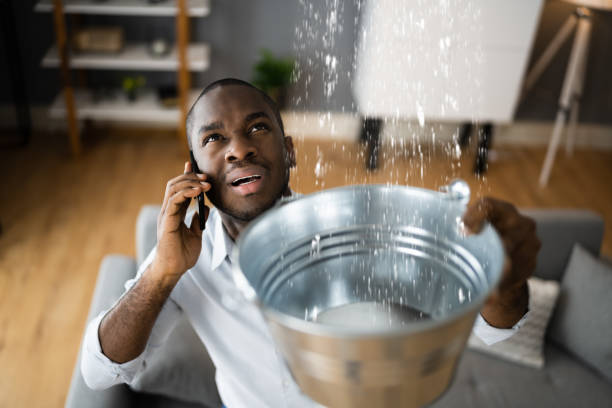 Best Water damage cleanup near me  in Kingsport, TN