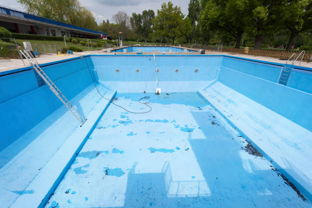 Best Flood damage cleanup  in Kingsport, TN