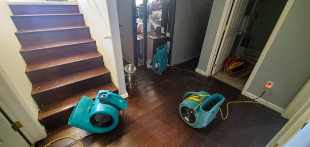 Best Fire Damage Restoration  in Kingsport, TN