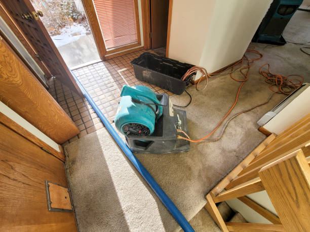  Kingsport, TN Water damage restoration Pros