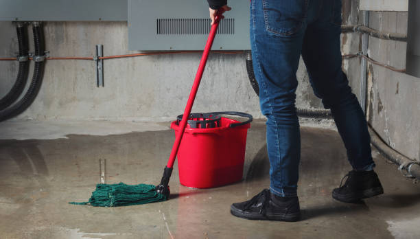 Best Ceiling water damage repair  in Kingsport, TN