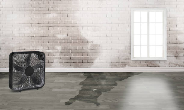 Best Water damage restoration near me  in Kingsport, TN