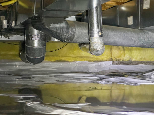 Best Professional water damage repair  in Kingsport, TN