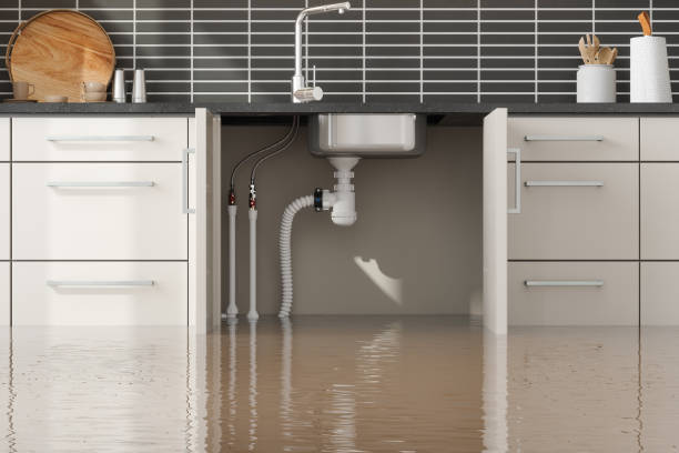 Best Water damage contractors near me  in Kingsport, TN